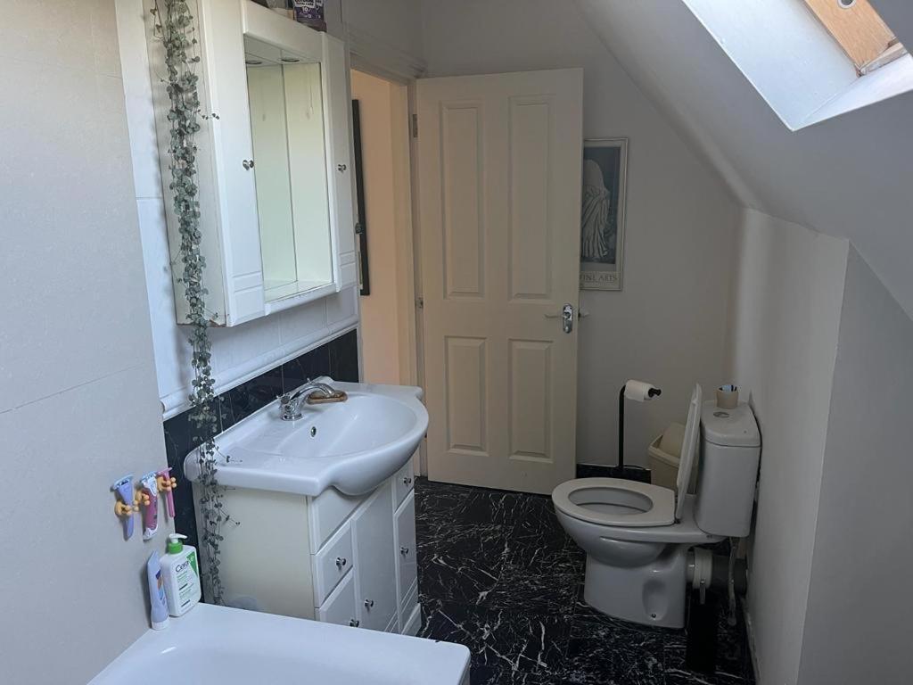 2 Bedroom Top Floor Flat, West Dulwich Free Street Parking London Exterior foto